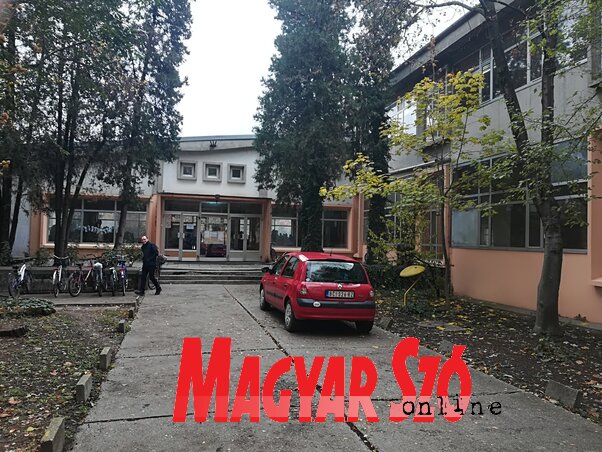 Az óbecsei iskolában műhelymunkákon ismerkednek a diákok a környezetvédelemmel (Fotó: Fehér Rózsa)