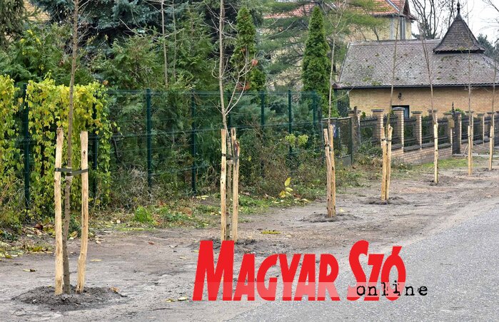 (Fotó: Gergely Árpád) (Fotó: Gergely Árpád)
