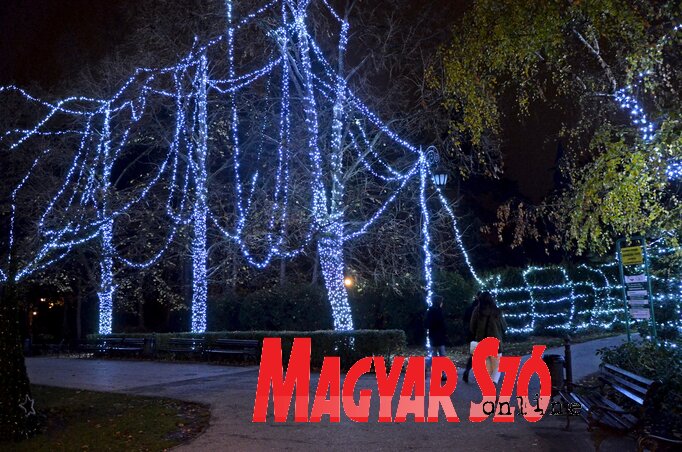 A Jégerdő sötétben a legszebb – a fák fényköntöst kapnak (Dávid Csilla felvétele)