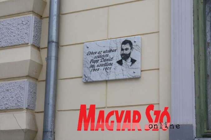 Kazinczy Paszterkó Diana felvétele Kazinczy Paszterkó Diana felvétele