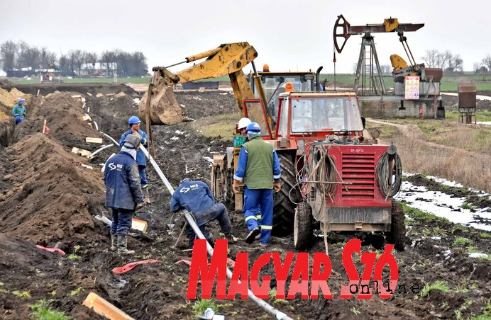 Ha kőolajra bukkannak, akkor az óbecsei határt is ellepik a NIS gépei (Gergely Árpád illusztrációja)