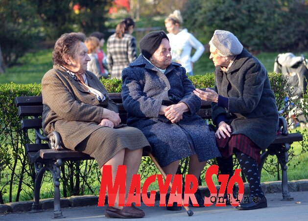 (Fotó: Dávid Csilla)