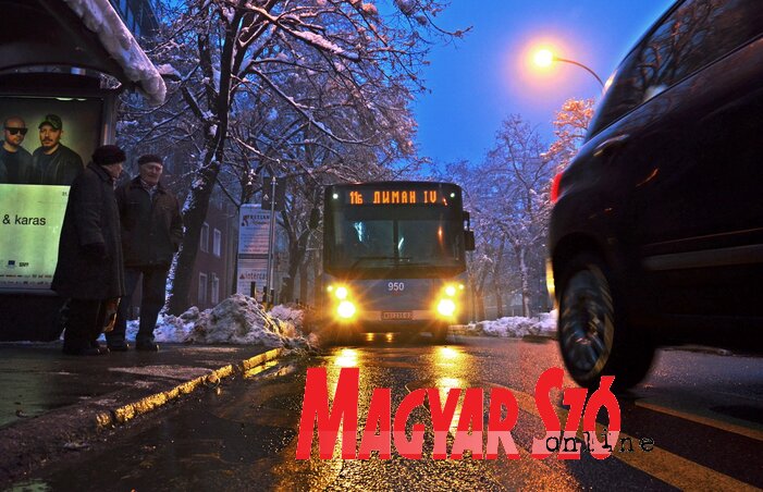 Fotó: Dávid Csilla