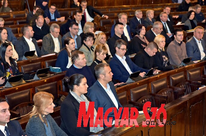 (Fotó: Gergely Árpád) (Fotó: Gergely Árpád)