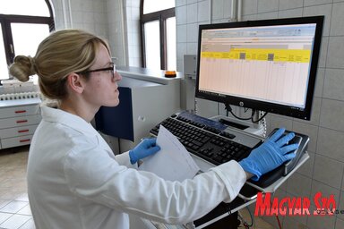 A nemzeti tejminőség-vizsgáló laboratóriumban naponta 5000 mintát dolgoznak fel (Fotó: Ótos András)