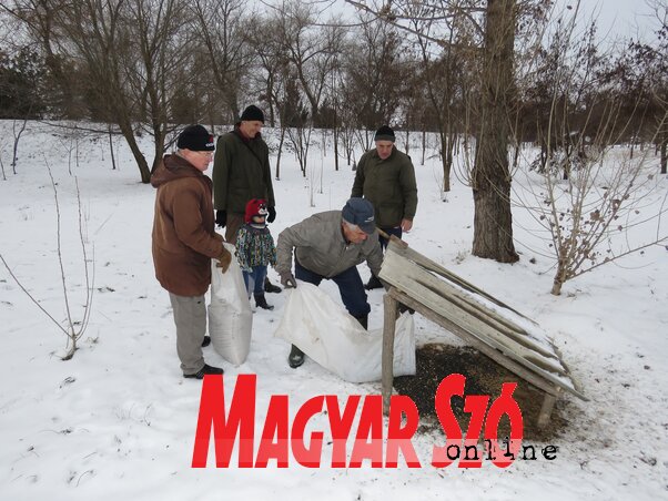 Madáretetés Moholon (Csincsik Zsolt) Madáretetés Moholon (Csincsik Zsolt)