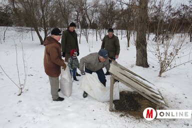 Madáretetés Moholon (Csincsik Zsolt)