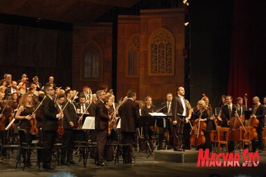 Koncert a javából (Bozsoki Valéria felvétele)