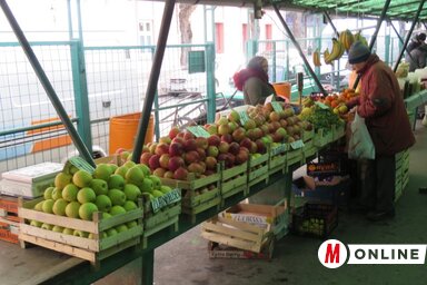 Az alma kilója 15 és 60 dinár között mozog (Fotó: Patyi Szilárd)