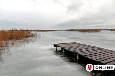 A nagyobb vizes élőhelyek még nem fagytak be teljesen (Fotó: Gergely Árpád)