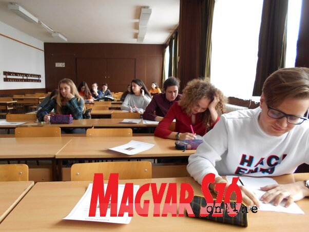A versenyen tizenhat középiskolás diák vett részt (Gruik Zsuzsa felvétele)