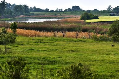 Gergely József felvétele
