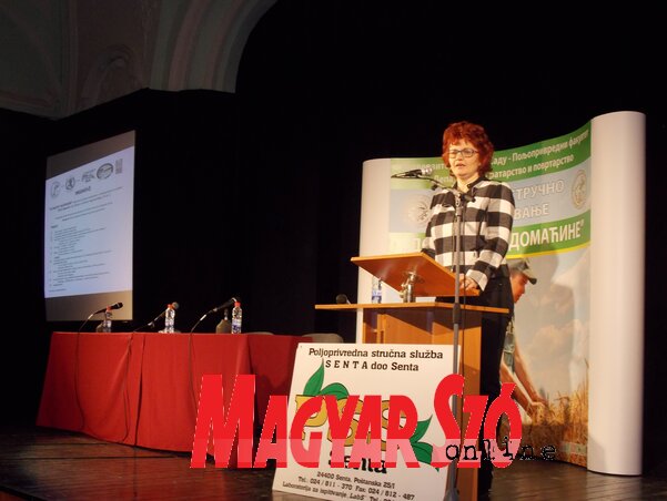 Dr. Dragana Latković, a rendezvénysorozat fő szervezője üdvözli az egybegyűlteket (Horvát Zsolt felvétele) Dr. Dragana Latković, a rendezvénysorozat fő szervezője üdvözli az egybegyűlteket (Horvát Zsolt felvétele)