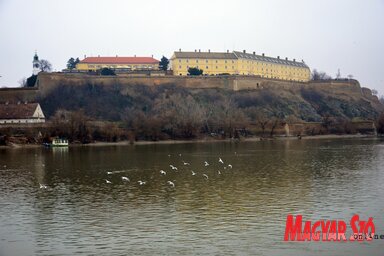 A hóvízkészlet csúcsértékei a Duna vízgyűjtőjén leginkább március első harmadában szoktak kialakulni (Dávid Csilla felvétele)