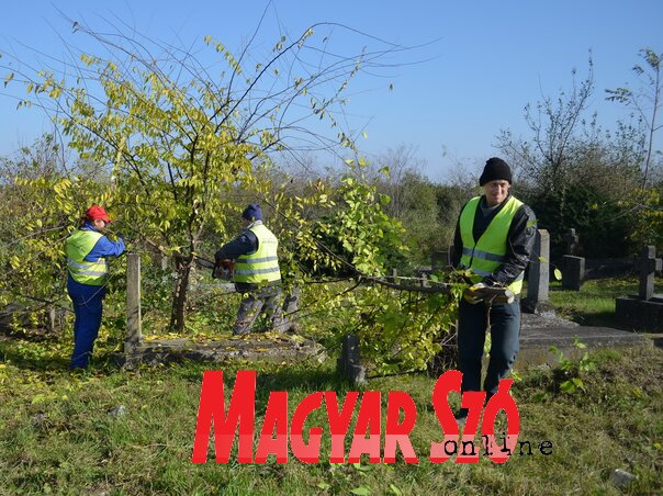 Januártól a kishegyesi temetőről is a közvállalat visel gondot (Lakatos János felvétele)