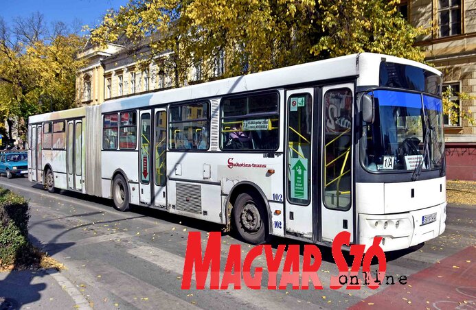 (Fotó: Gergely Árpád) (Fotó: Gergely Árpád)