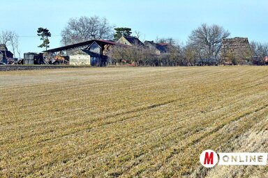 Az állami földterületek bérbeadásnál elsőbbséget élveznek az állattenyésztők (Fotó: Gergely Árpád)