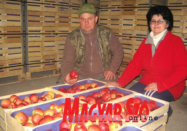 A Domonkos házaspár(M. Mitrović felvétele) A Domonkos házaspár(M. Mitrović felvétele)
