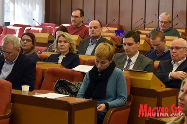 Az újvidéki közvitán a politikamentesség és a kisebbségi tájékoztatás igényeinek figyelembe vétele mellett szálltak síkra (Fotó: Ótos András)