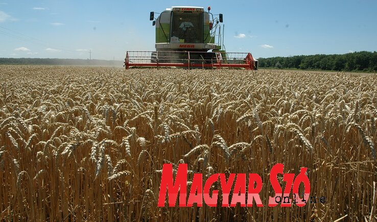 Horvátországon keresztül jut el a szerbiai búza Koszovóba (Fotó: Ótos András)