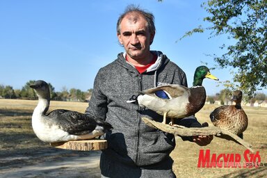 Kovács László a búvárral és egy pár tőkésrécével (Gergely József felvétele)