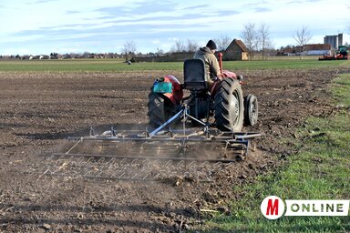 (Gergely Árpád illusztrációja)