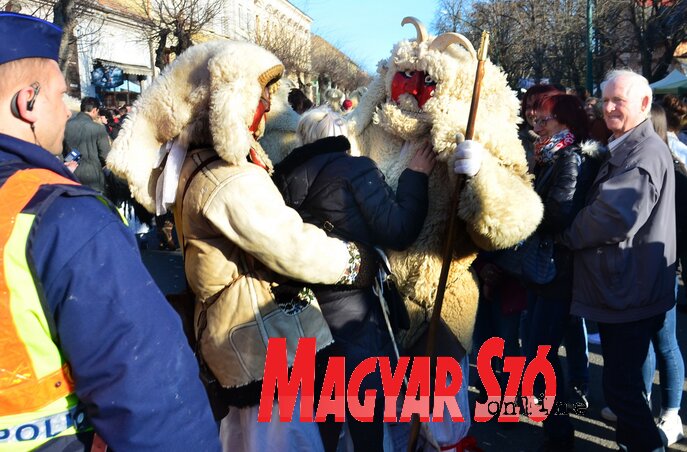 Gyere, had ölelgesselek meg! (Fotó: Dávid Csilla) Gyere, had ölelgesselek meg! (Fotó: Dávid Csilla)
