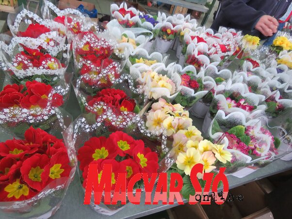 A piacokon olcsóbb a virágkínálat (Fotó: Lackó Varjú Sára)