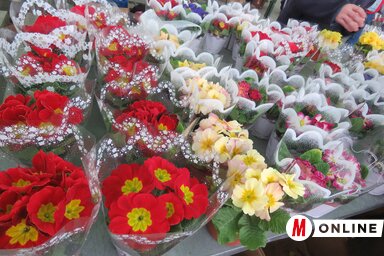 A piacokon olcsóbb a virágkínálat (Fotó: Lackó Varjú Sára)