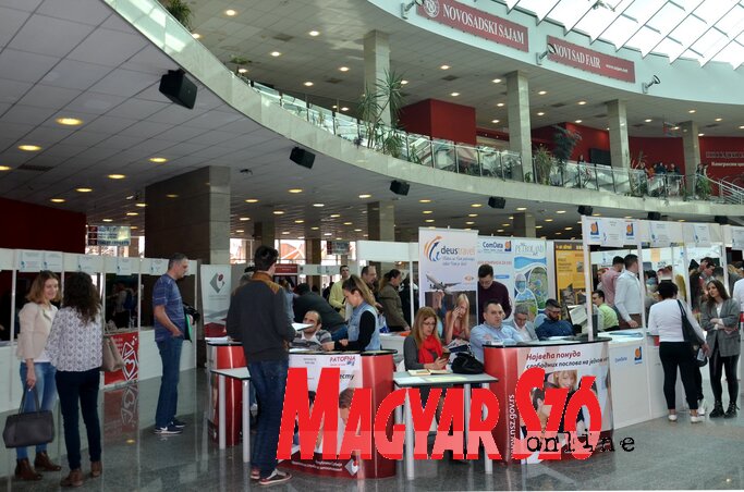 Az önkormányzat az idén rekordmennyiségű, 160 milliós támogatást különített el a foglalkoztatási akciótervre (Dávid Csilla felvétele)