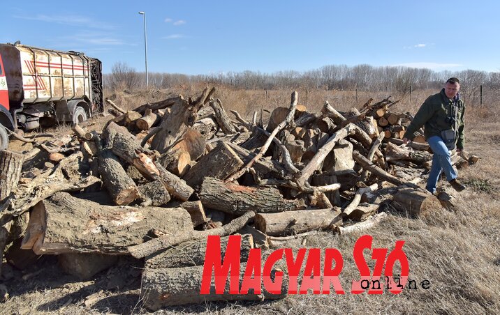 Az idén, másfél hónap alatt tekintélyes mennyiségű fát koboztak el falopó bandáktól (Fotó:Gergely József, mezőőrszolgálat)
