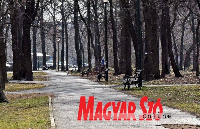 Prioritást élvez a sétaerdei kutyapark kiépítése (Fotó: Gergely Árpád) Prioritást élvez a sétaerdei kutyapark kiépítése (Fotó: Gergely Árpád)
