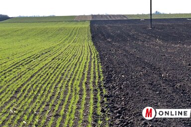 (Gergely Árpád illusztrációja)