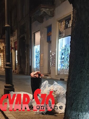A Rudics utca (Fotó: Lackó Varjú Sára) A Rudics utca (Fotó: Lackó Varjú Sára)