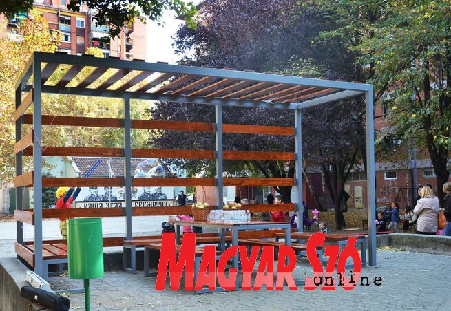 Az Új helyek projektum keretében az újvidékiek maguk tervezhetik meg a köztereiket. Egy ilyen pontot tavaly nyáron avattak fel a Turgenjev utcában (Dávid Csilla felvétele)