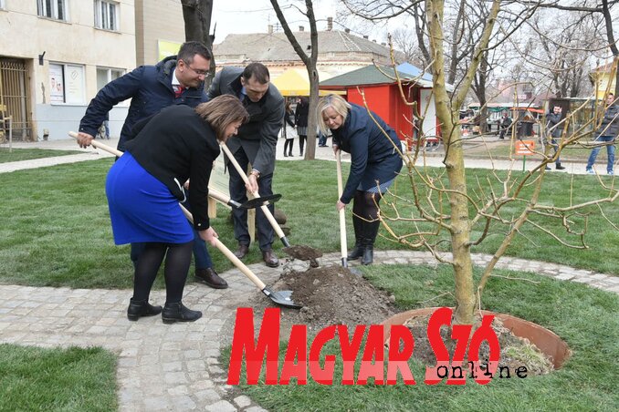 Nagykikinda és Narvik delegációja elültette a barátság fáját (Fotó: Ótos András) Nagykikinda és Narvik delegációja elültette a barátság fáját (Fotó: Ótos András)