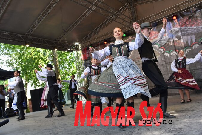 Molnár Edvárd felvétele Molnár Edvárd felvétele