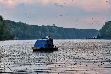 A KIlátó e számában Gergely József fotói