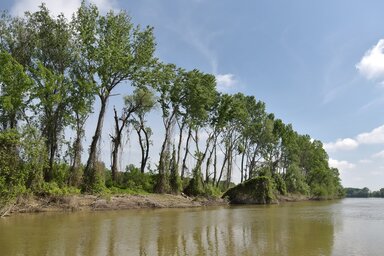 A KIlátó e számában Gergely József fotói
