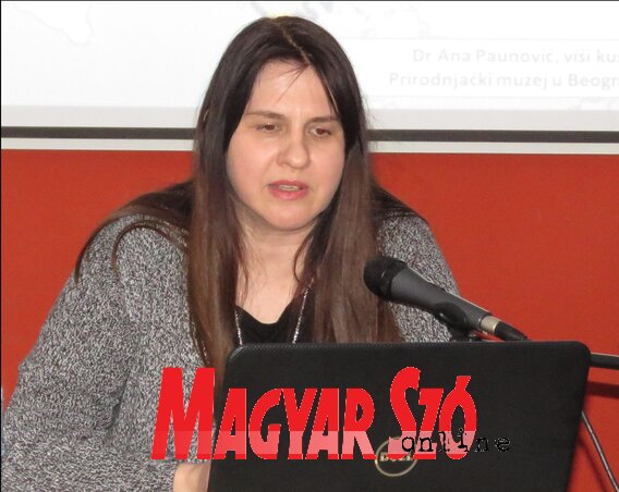 Paunović Anna (Fotó: Miklós Hajnalka) Paunović Anna (Fotó: Miklós Hajnalka)