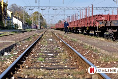 (Gergely Árpád illusztrációja)