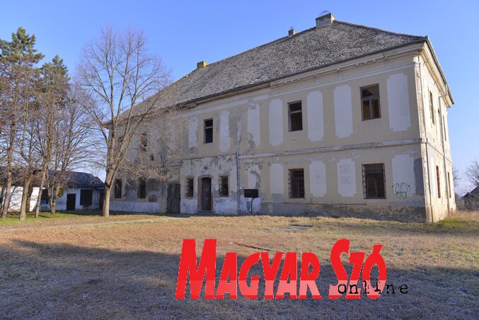 Fotó: Molnár Edvárd Fotó: Molnár Edvárd