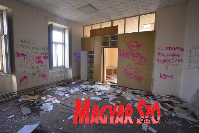 Fotó: Molnár Edvárd Fotó: Molnár Edvárd