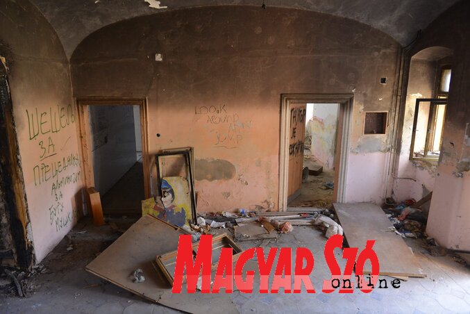 Fotó: Molnár Edvárd Fotó: Molnár Edvárd