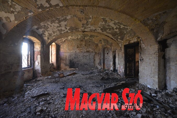 Fotó: Molnár Edvárd Fotó: Molnár Edvárd