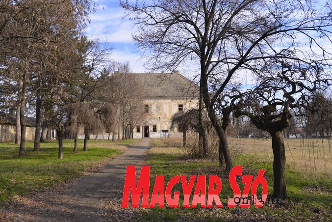 Fotó: Molnár Edvárd Fotó: Molnár Edvárd