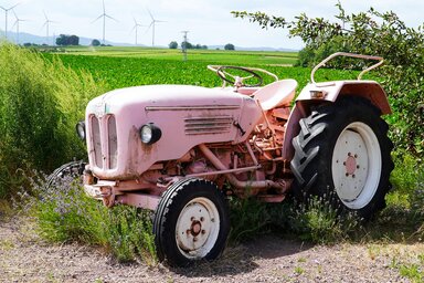 Illusztráció (Pixabay)