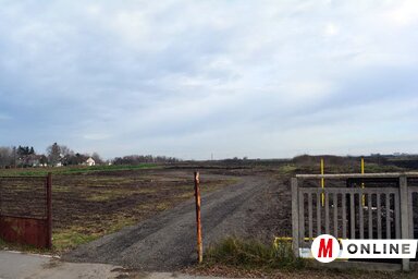 Az építőhelyen semmi sem történt (Kecskés István felvétele)