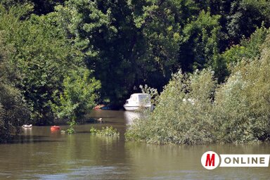 A folyók menti partszakaszok a legkritikusabbak, itt a legtöbb a szúnyoglárva (Ótos András felvétele)