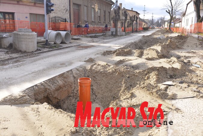Fotó: Molnár Edvárd Fotó: Molnár Edvárd